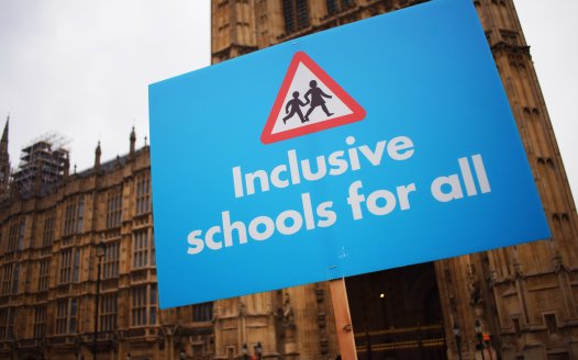 Inclusive schools for all protest