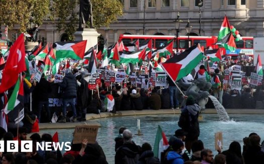 Pro-Palestinian march ban would be last resort - Met