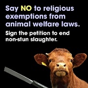 Image for petition to end non-stun slaugher