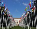 Canada and Chile failing on clerical child abuse, NSS tells UN