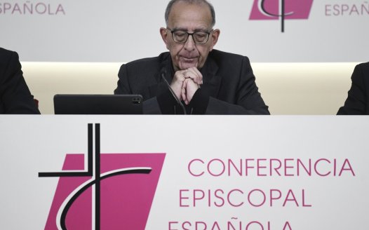 Spain’s bishops apologize for sex abuses but dispute the estimated number of victims in report