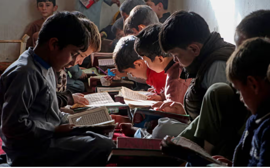 Taliban causing ‘irreversible damage’ to whole education system