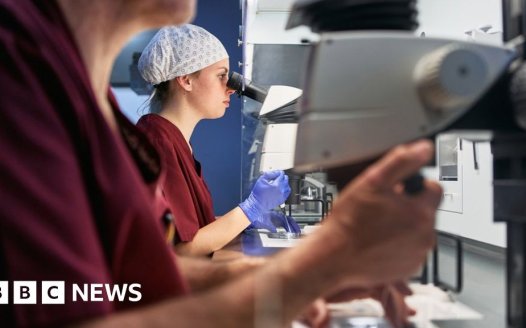 Alabama enacts fast-tracked law to protect IVF services